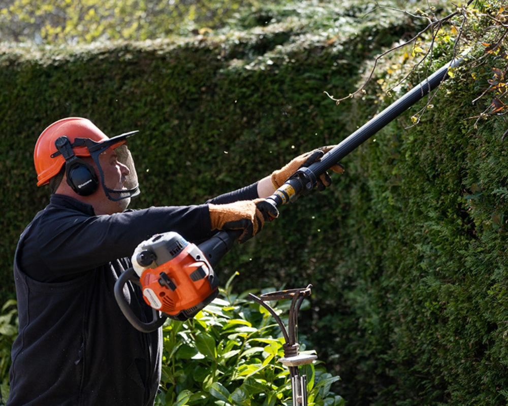 expert hedge trimming and pruning services in Hounslow