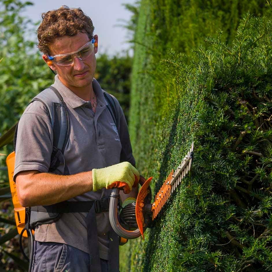 hedge trimming service in Hounslow